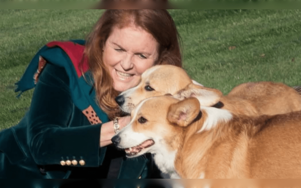 Queen Elizabeth II's adored corgis moved in with Prince Andrew and his ex-wife Sarah Ferguson at Windsor's Royal Lodge after her death in 2022.