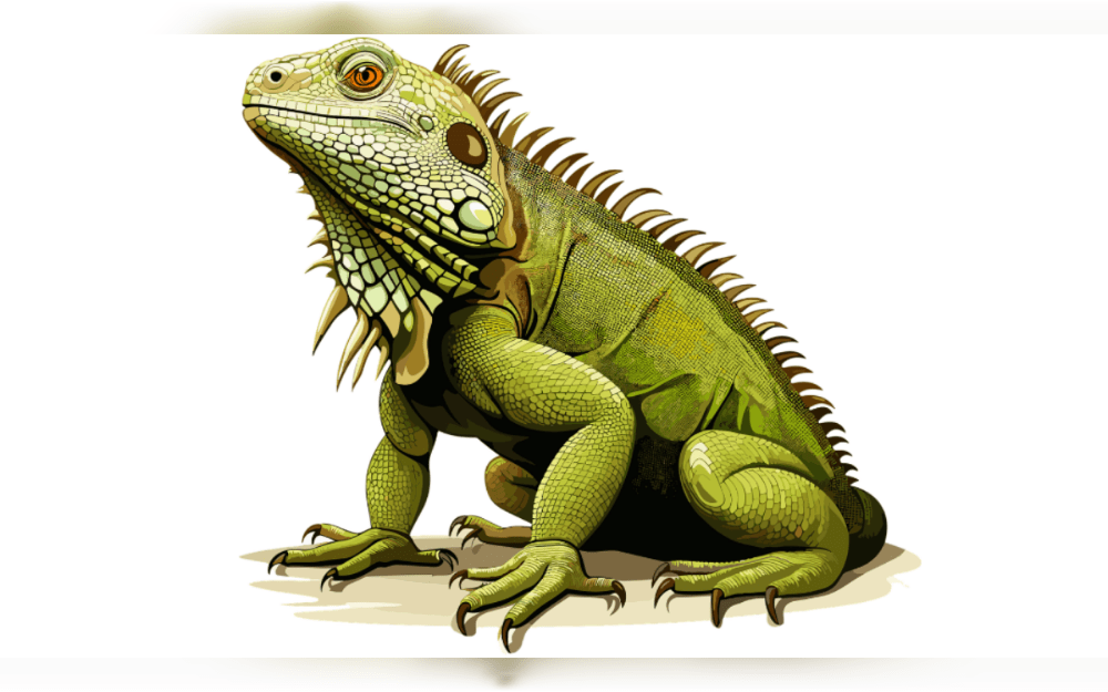 Many people spend lots of money to purchase and acquire exotic animals, such as alligators, rare birds, exotic tortoises, venomous snakes, and iguanas.