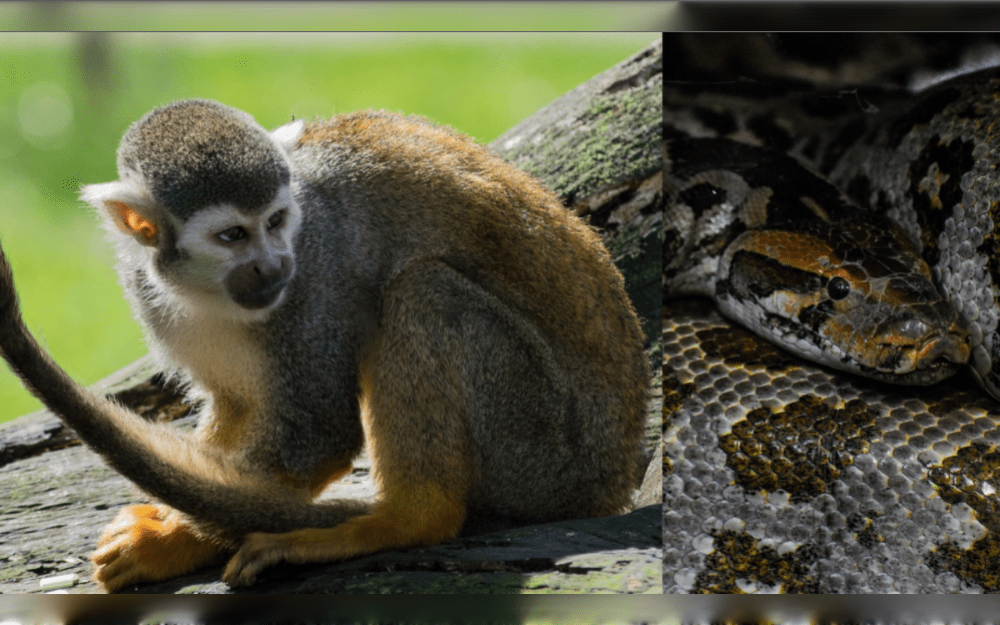 Clifford Vincenty, 50, was arrested by Solano County Sheriff's Deputies on May 6 at a traffic stop in Vallijo, California, United States and they found half a pound of meth in his car. Charged with possessing a controlled narcotic for sale, Vincenty was taken into custody.