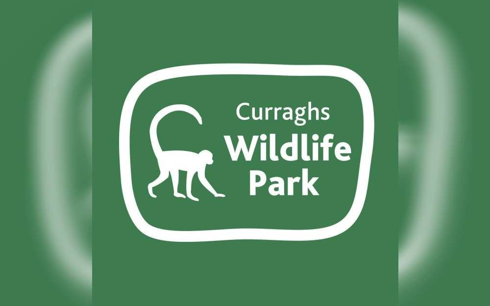 In the capital city Douglas of Isle of Man (situated between Great Britain and Ireland in the middle of the northern Irish Sea, the Isle of Man is a Crown dependency of the United Kingdom that spans just 572 km), a yellow mongoose that escaped from the Isle of Man's wildlife park has been seen.