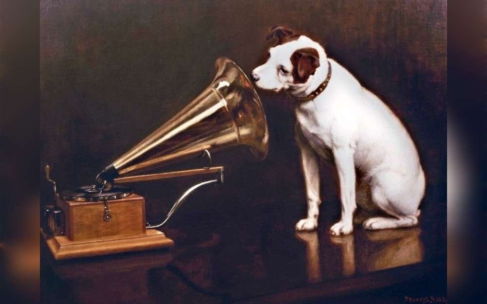 Loyalty has always been a characteristic of dogs. A dog can improve the lives of older people, provide you companionship, make you more active, make youngsters more responsible, calm, and secure, make you more social and less alone, and reduce stress.