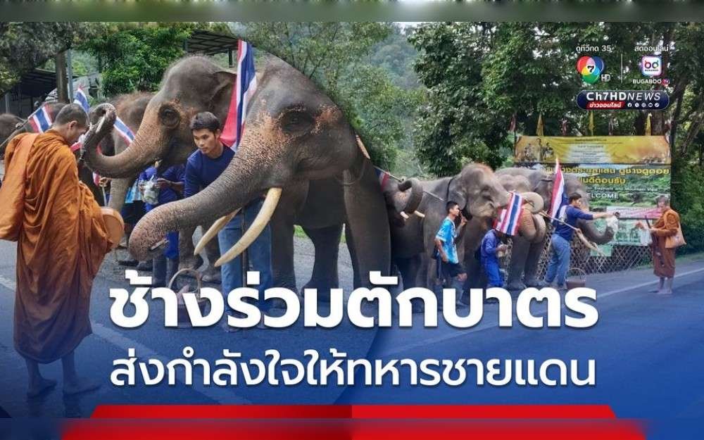 On the occasion of Thai king's birthday anniversary, male elephants participate in the alms-giving ceremony to show their support for the bordering soldiers by raising the Thai national flag.