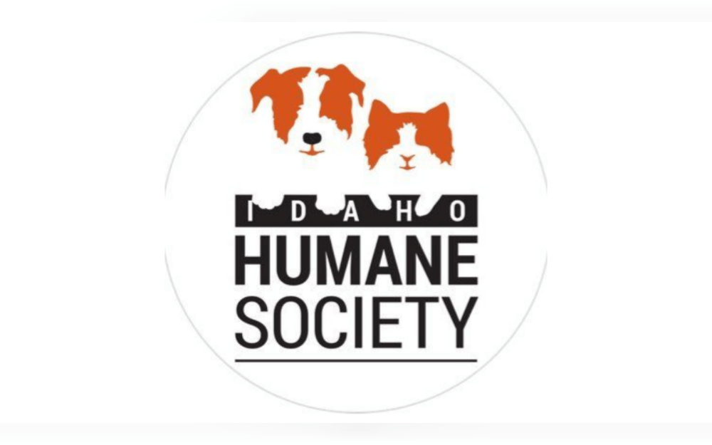 After being left inside a car for over half an hour, a dog was saved from the extremely hot Boise Walmart Overland parking lot,Idaho,United States. 