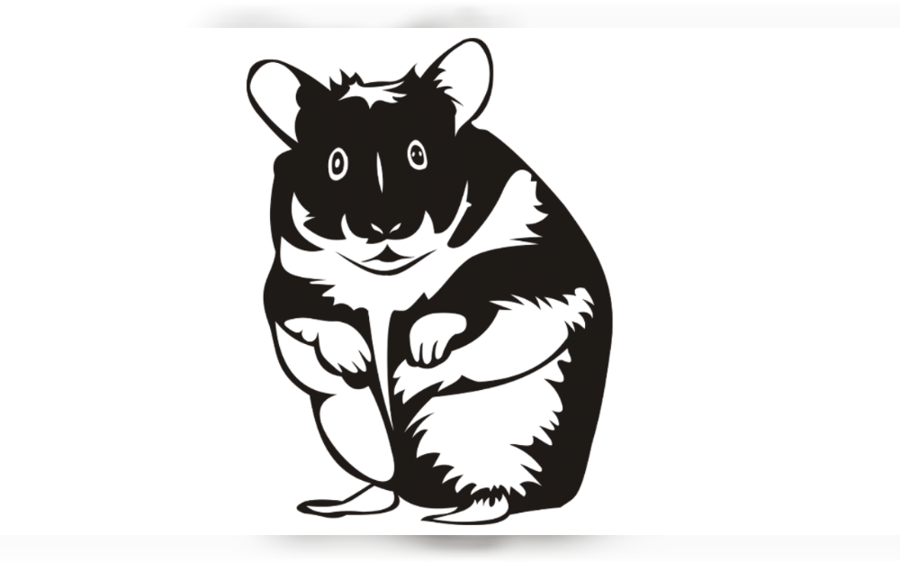 Although they are low-maintenance pets, hamsters need the right care to stay healthy.There are different Hamster breed.