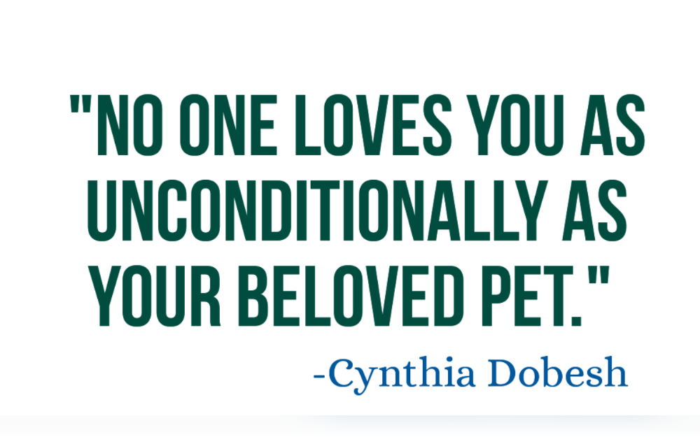 "The greatness of a nation and its moral progress can be judged by the way its animals are treated”-Mahatma Gandhi