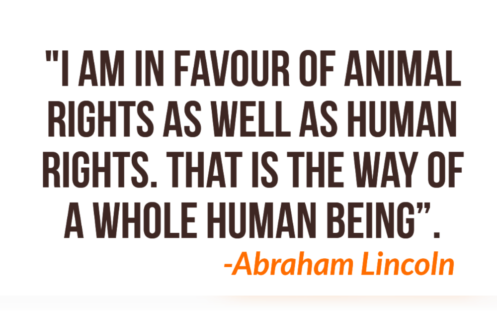 "The greatness of a nation and its moral progress can be judged by the way its animals are treated”-Mahatma Gandhi