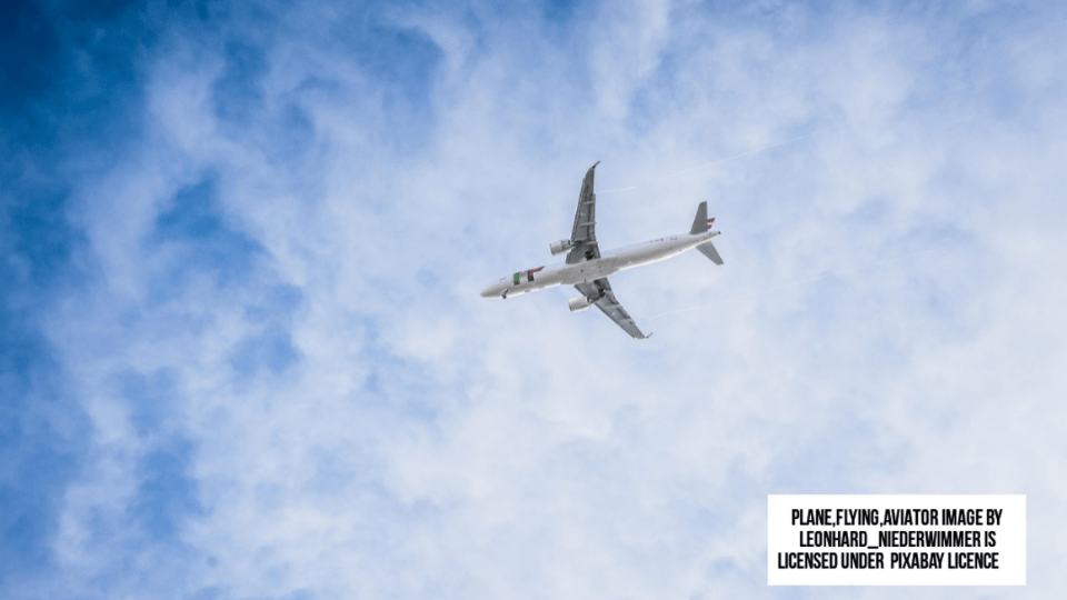 On August 10, a female passenger on Ibom Air flight Q9 303 from Uyo to Lagos,Nigeria,was involved in a violent altercation. As a result, the Airline Operators of Nigeria (AON) banned her from flying for life.