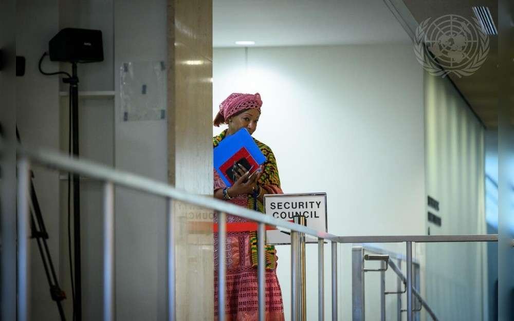 view of an attendee to the media stakeout by Permanent Representatives of ECOWAS on efforts to combat terrorism through regional leadership and multilateral cooperation