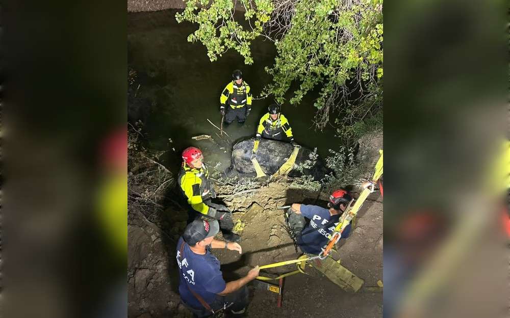 Poudre Fire Authority (PFA),Fort Collins, Colorado,USA, rescued a cow named Miss Big Moo from a ditch.