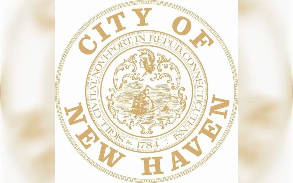 On September 12, 2025, Taste of New Haven in New Haven, Connecticut,USA, had the largest pizza party, which numbered 4,525.