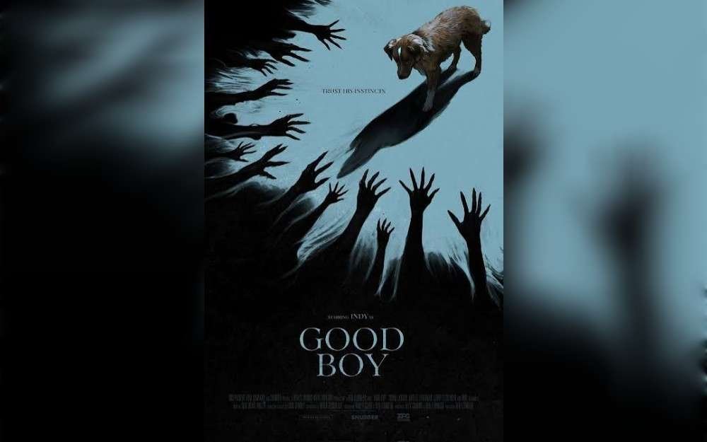 The Academy of Motion Picture Arts and Sciences has received an open letter from Indy, the blockbuster dog star of the horror movie "Good Boy," requesting that the organization take animal actors into consideration for its prestigious acting categories, Variety reports.