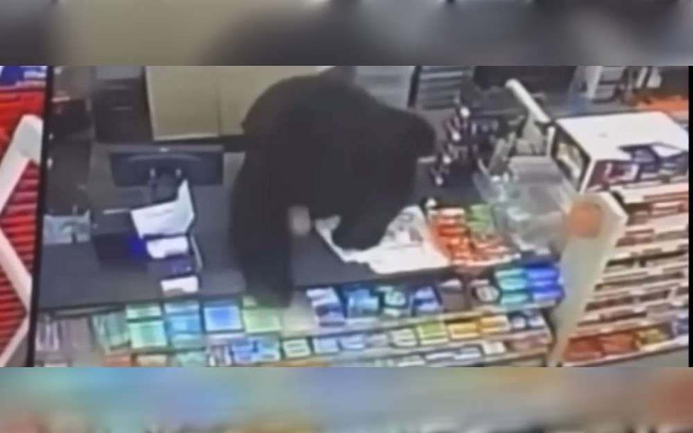 A black bear was directly behind an 11-year-old boy when he rushed into a Pennsylvania Family Dollar store. The boy and the cashier scrambled for shelter as the bear charged through the front doors. There was video of the bear leaping over the front counter.