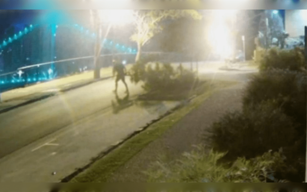 A man and woman have been caught on camera taking potted and rooted trees, leaving neighbors bewildered and councils threatening of huge fines.