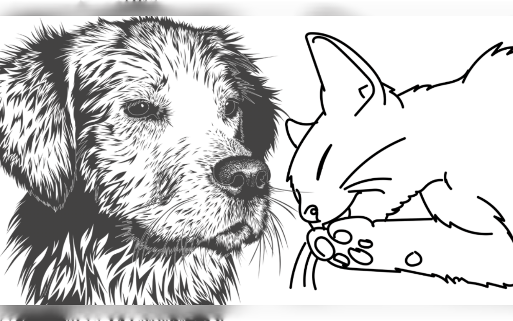 In 2024, the pet care industry was estimated to be worth USD 259.37 billion. The market is expected to expand at a compound annual growth rate (CAGR) of 6.60% from USD 273.42 billion in 2025 to USD 427.75 billion by 2032.