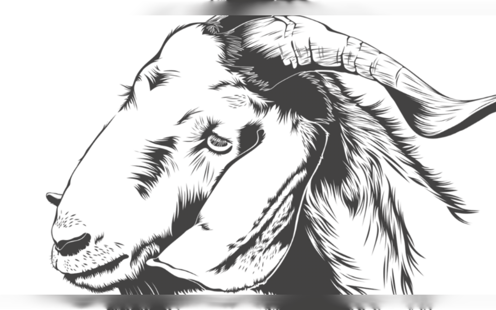 Last month, Florida's Lake County 4-H 'Goat Busters' (Goat Busters is an eco-friendly way to control invasive species or clean land without having to go out and pluck every single weed by hand) received a special request for help in locating a goat that had escaped from its owner's property.