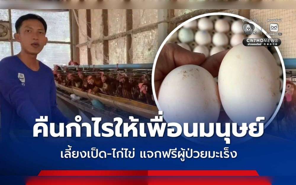 A thirty-year-old Thai man breeds happy laying hens and ducks and donates his eggs to cancer patients who are near death.In Moo 4, Pak Chaem Subdistrict, Huai Yot District, Trang Province, Thailand, Chatchanachai Nui Khao raises over 800 laying chickens and 2,400 ducks on an empty plot of ground close to his home