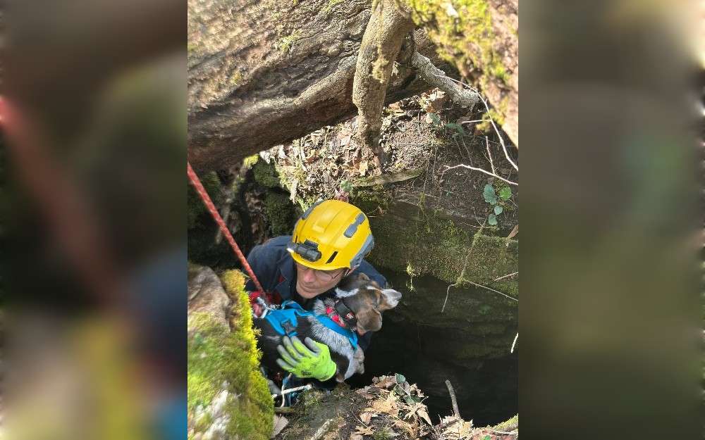On March 21, a dog in a deep cave on Handys Bend Road in Jessamines County, Kentucky, United States, was rescued by members of the Jessamine County Fire District.