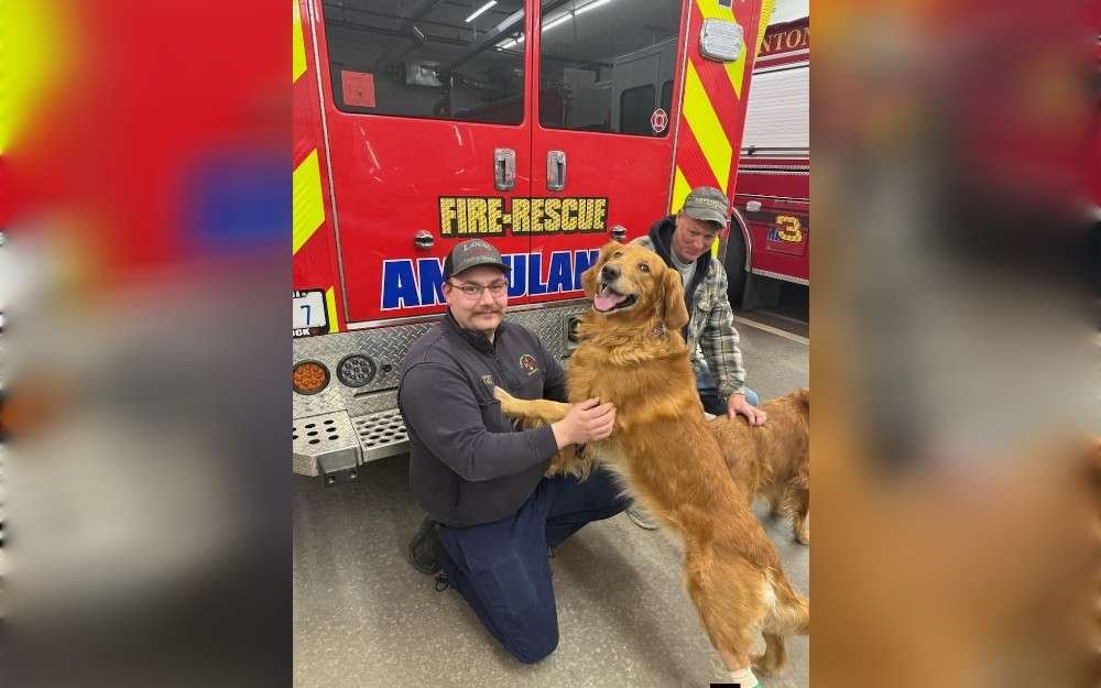 A dog is expressing gratitude to the firefighter who saved his life after a bizarre incident in New Hampshire, United States, last month.