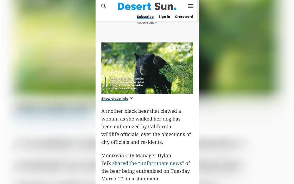 On March 21, Monrovia, California residents came together for a community walk in honor of a bear and its two young cubs that were euthanized this week by wildlife officials.