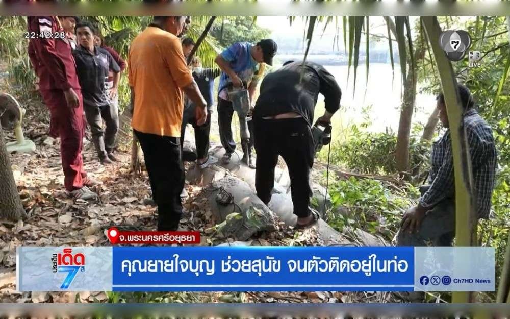 In Nakhon Luang District, Phra Nakhon Si Ayutthaya Province, Thailand, a dog became stuck in a concrete pipe at approximately 3:00 PM on April 23. After hearing the sound, an 81-year-old woman crawled into the pipe to help, but she became caught there as well. Rescuers battled to set her free.