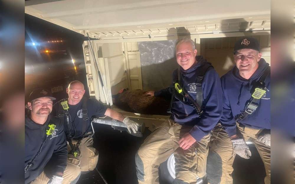Colorado Parks and Wildlife (CPW) reportedly called the Colorado Springs Fire Department (CSFD) overnight on April 29 regarding a bear that they claimed was "zonked out in a tree and stuck."