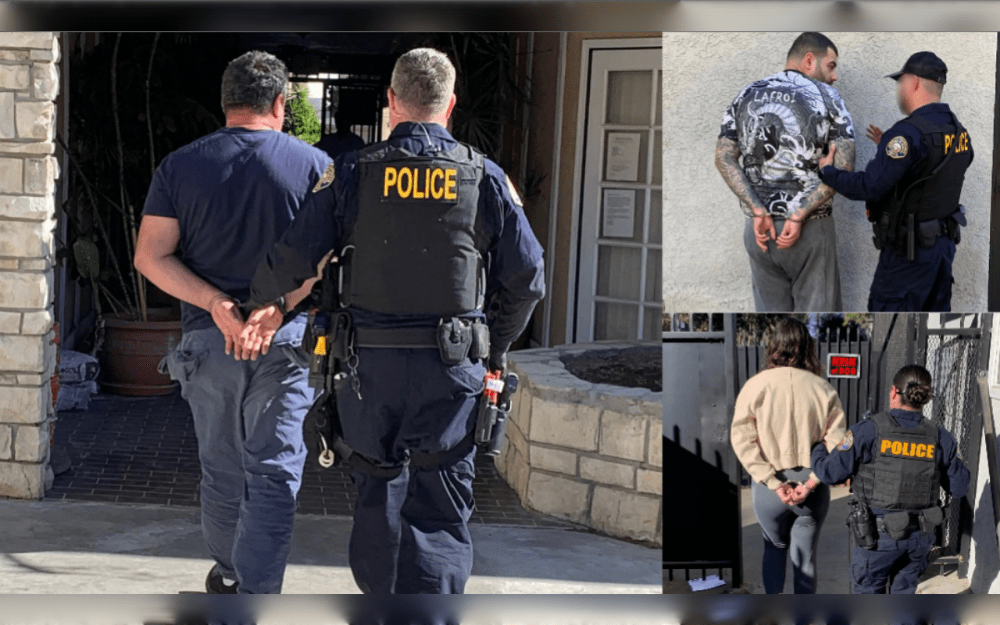 Three Californians were convicted for their involvement in a "bizarre" insurance fraud scam that involved pretending to have interior damage on expensive cars while dressed as bears.