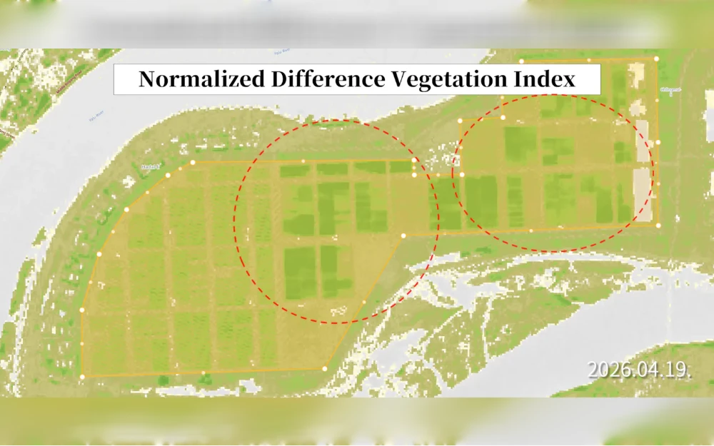 Months after North Korea unveiled the country’s largest-ever greenhouse farm, analysts told Radio Free Asia that satellite imagery shows less than half of the farm is operational, likely due to power shortages.