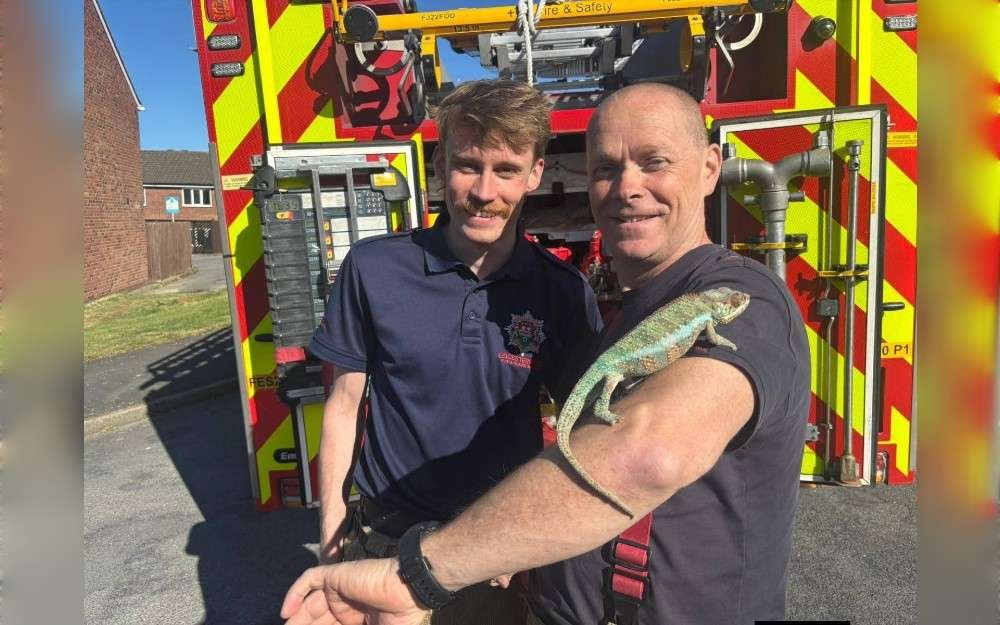 On its Facebook page, the Leicestershire Fire and Rescue Service, England, said that a crew from Loughborough Fire Station responded to an incident on Trueway Drive in Shepshed after a candle in a bedroom accidentally caught fire.Firefighters quickly put out the fire and rescued Mr. Peeps, the house owner's pet chameleon.