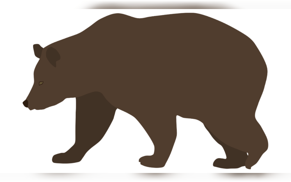 On May 3, police and wildlife officials were heavily present in the Hansen Dam area of the San Fernando Valley,Los Angeles, California, United States, due to a large bear that was on the loose. 