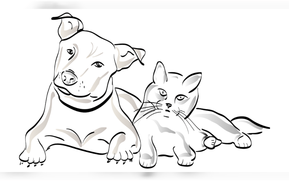 Although each dog and cat has an unique personality, some dog breeds are more likely to live in harmony with their cat companions.Both Golden Retrievers and Labrador Retrievers are friendly and gentle.