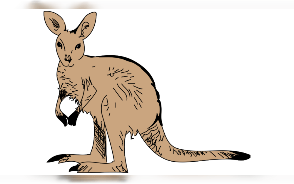 According to Elmendorf Animal Control, Texas, United States, the missing kangaroo was found without any problems.The kangaroo named Little Rex missing during recent storms.