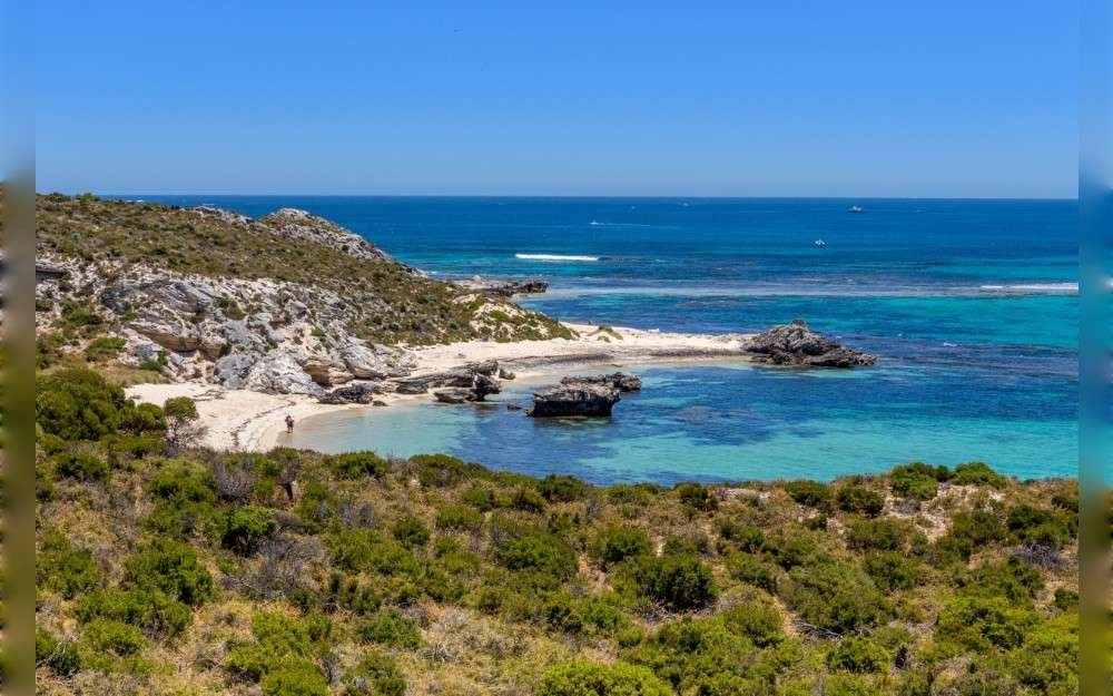 According to the Western Australia Police Force, a diver died on May 16, after being bitten by a shark off Rottnest Island, which is near Australia's southwest coast.