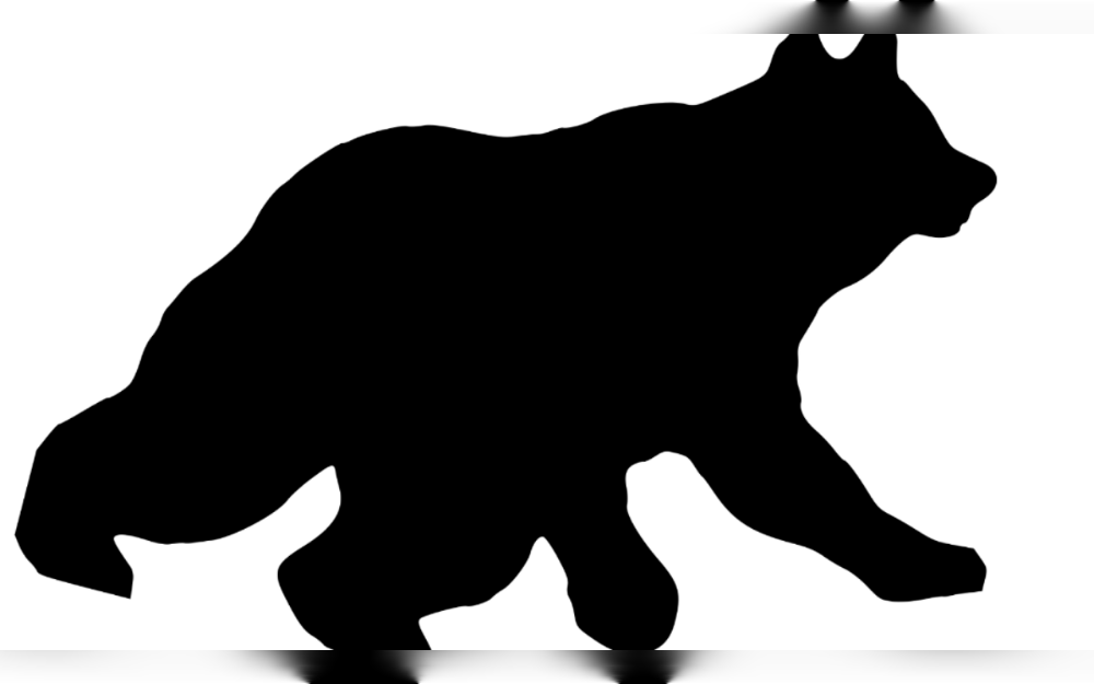 According to authorities, a couple in California suffered "significant" injuries this week after a black bear attacked them outside their home.