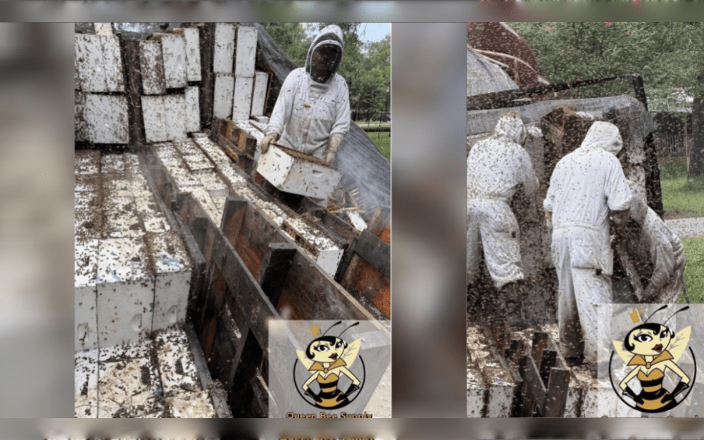 Residents in the vicinity were warned to stay inside after a truck carrying beehives flipped in the Mauriceville area of Texas, United States.