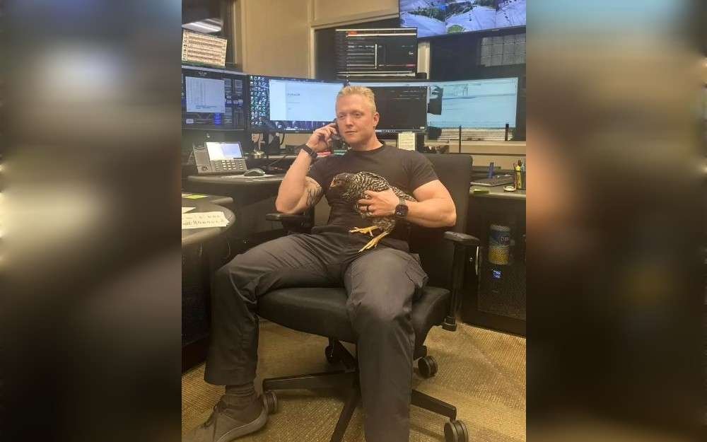 The Bethel Park police department in Pennsylvania said that they had been called to the Drake Road area on May 31 after a chicken was found wandering the center lane, obstructing traffic, and being "indecisive as to whether or not to cross the road." 