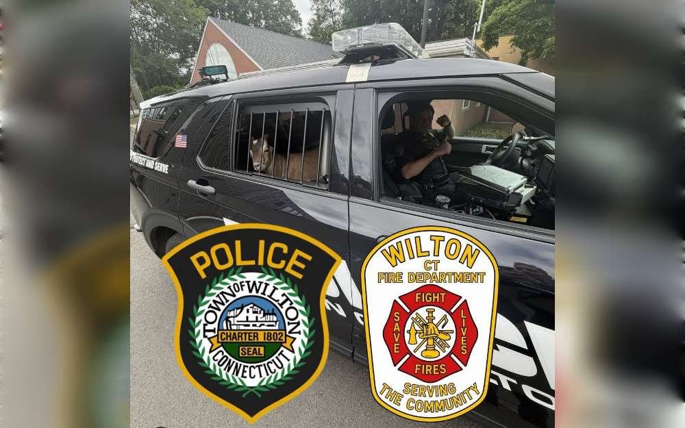 According to authorities, a goat that was rescued by Connecticut's Wilton police and firefighters has been claimed and set free. 
