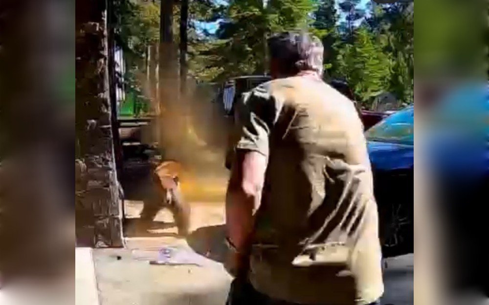 Cortlandt Koerwitz of Lake Tahoe, California, USA, used bear spray to stop a bear that was charging at him after his children came upon it close to their vacation home.