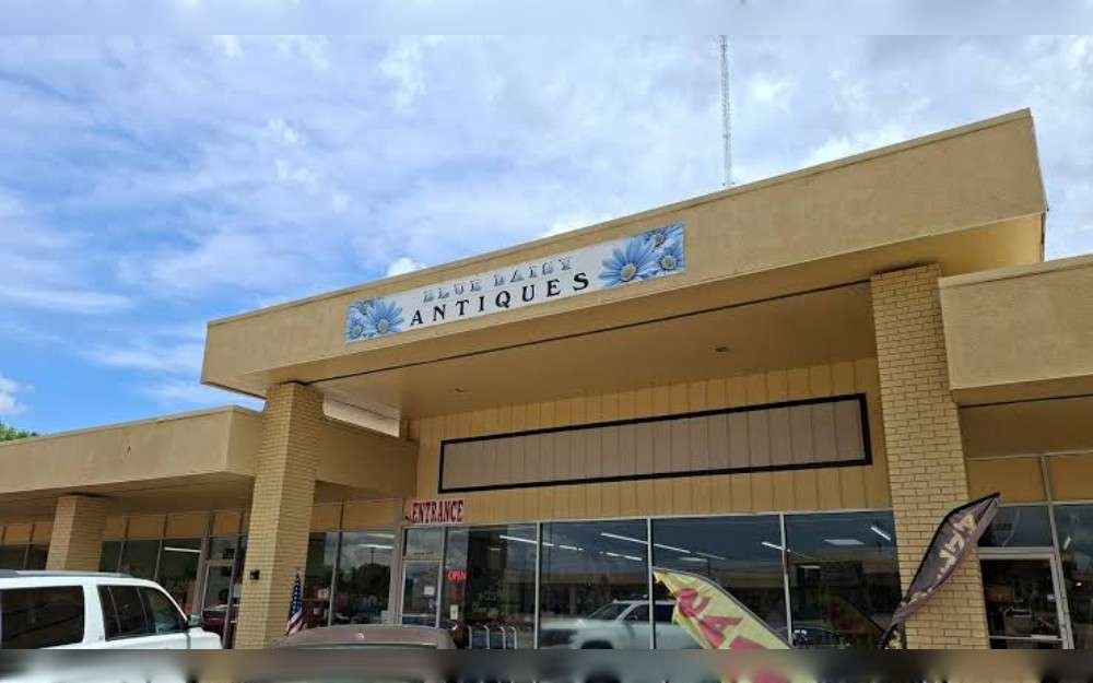 Around 12:42 p.m. on July 14, a deer crashed through the front glass window close to the entrance of Blue Daisies Antique on Reeves Street, Dothan, Alabama, United States, causing damage to a local store. 