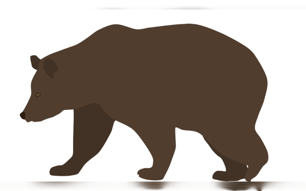 Early on August 13 morning, a bear burst into the home of a woman from Kentucky, shattering a large glass table.The woman named Kendra North believes the animal entered her home because she had some leftover fried chicken on her kitchen table. endra North said that because she sleeps a lot, her sister, who lives next door, heard the bear break into her home and contacted her.