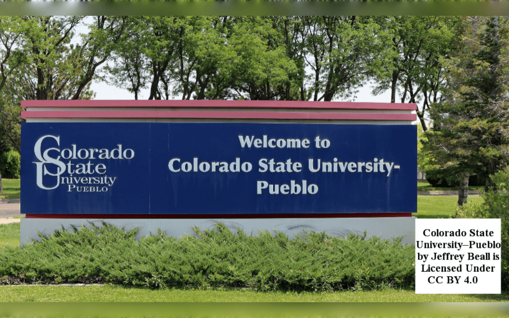 On move-in day, a bear strayed onto the Colorado State University campus in Fort Collins.As families and students moved into on-campus housing, the roughly two-year-old bear was seen outside Eddy Hall. Before moving it, Colorado Parks and Wildlife tranquilized the animal, 9news.com reports. 