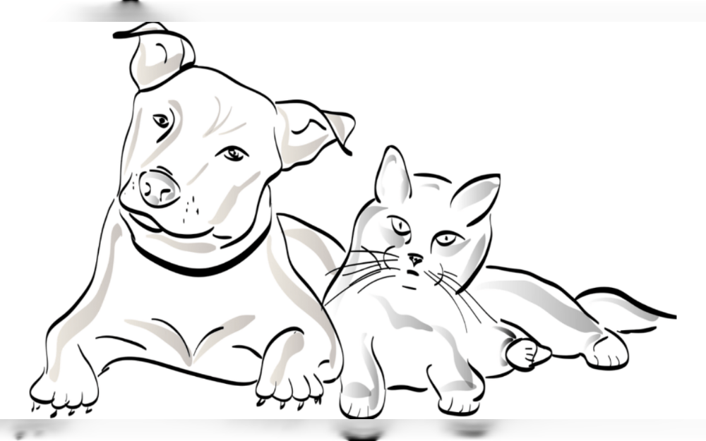 When it comes to grooming, dogs are usually easier to manage and more sociable. Over time, most dogs get used to water, usually easily handled during grooming season. 