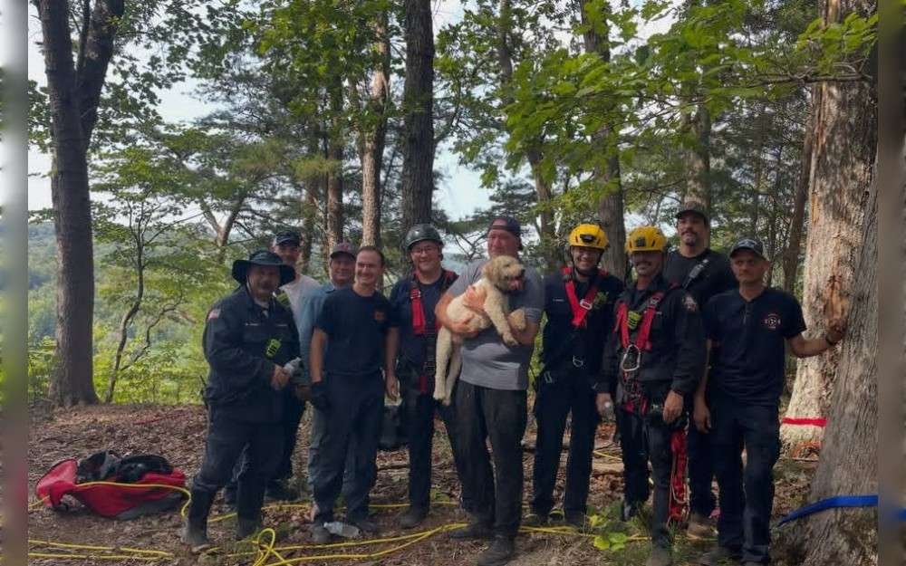 After spending around 17 hours stuck on a narrow ledge more than 100 feet down a cliff in Dickson County,Tennessee, United States, a 5-year-old dog is making a full recovery following a difficult rescue involving four fire agencies.