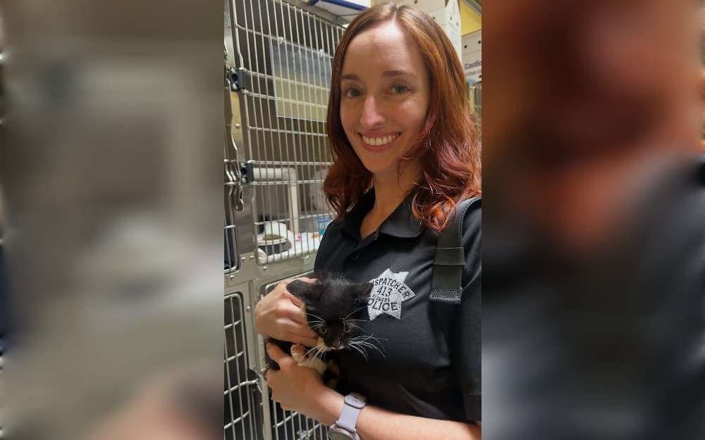 In an abandoned field, California's Alameda Police Department (APD) Animal Control Officer Emily Crum found a tiny, terrified tuxedo kitten that had fallen about ten feet down a metal pipe. 