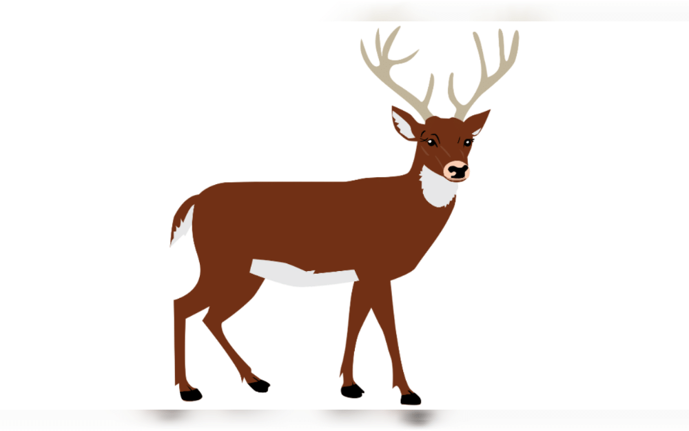 In Midland Park, a deer with a pole lodged in its antlers was rescued, relieving locals who had been attempting to get assistance for the animal. The object that had gotten stuck in the animal's antlers could then be removed by officials.