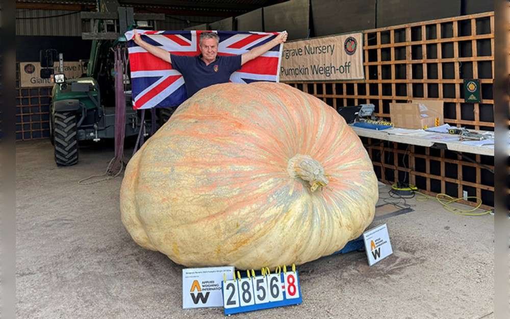 On October 3, officials from the Great Pumpkin Commonwealth (GPC) confirmed that Ian Paton, a plant nursery owner and seasoned gourd grower from Hampshire, UK, had set a new world record with 1,295.8 kg (2,856 pound 12.8 oz) pumpkin.
